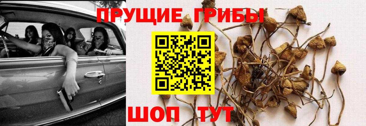 Галлюциногенные грибы ЛСД Ирбит