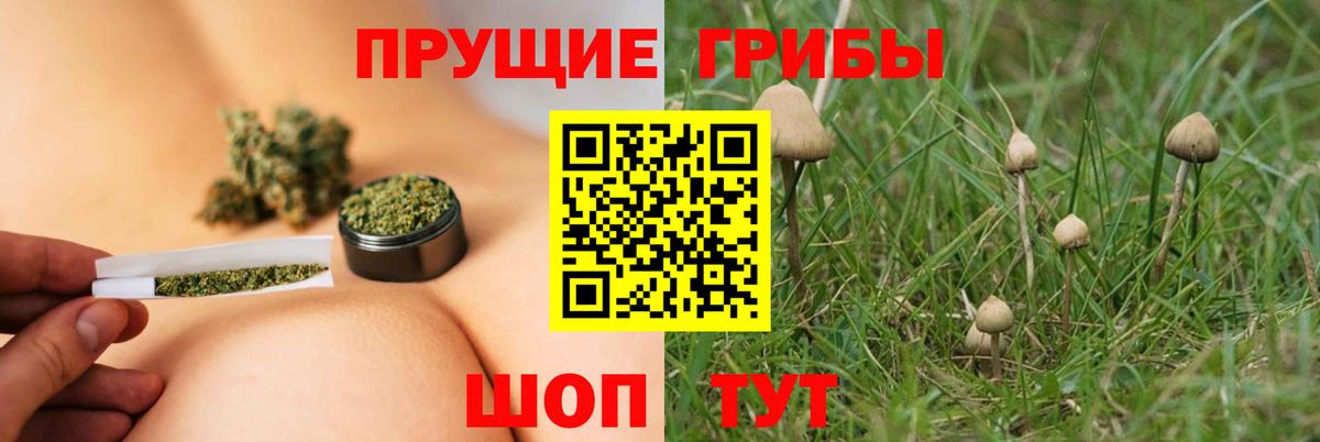 Псилоцибиновые грибы Psilocybe  Псилоцибиновые грибы ЛСД  Ирбит  Вход с VPN 